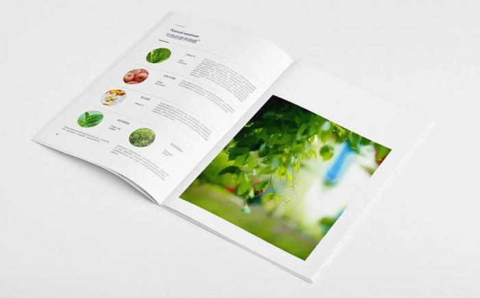 上海小批量樣本畫冊印刷廠_吉印通無起訂量_低價高品質印刷廠家
